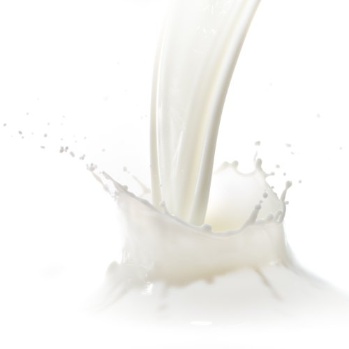 Vector hình nền trắng sữa chua: Vector hình nền trắng sữa chua là công cụ hữu hiệu để thiết kế các sản phẩm chính hãng, sạch sẽ và sang trọng. Với nhiều mẫu mã, kiểu dáng và chất lượng cao, người dùng có thể tạo ra những sản phẩm đa dạng và phù hợp với sở thích của mình.