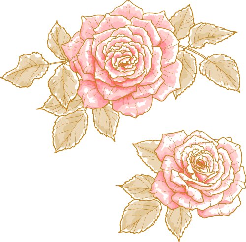 Vector hai bông hoa hồng với lá, cô lập trên nền trắng 