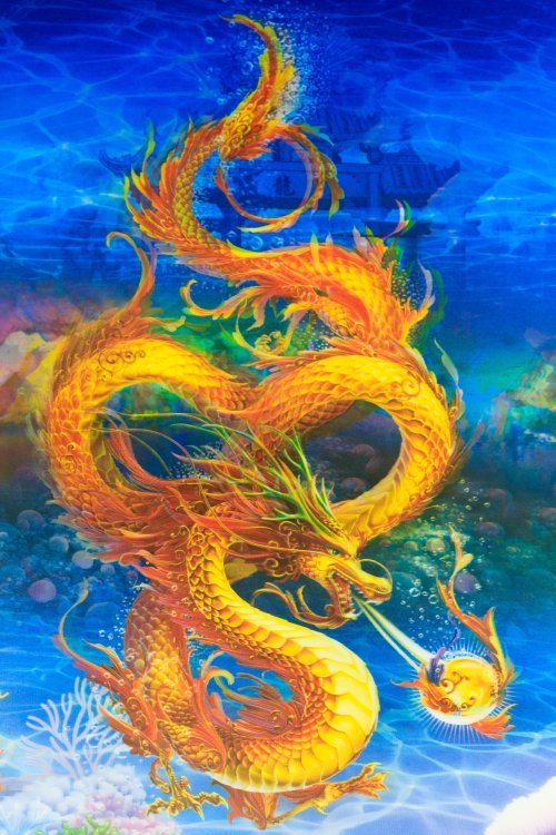 Ảnh chụp Con Rồng Trung Quốc: Con rồng không chỉ là biểu tượng văn hóa của Trung Quốc mà còn là loài sinh vật ẩn chứa nhiều bí ẩn và sức mạnh. Những bức ảnh chụp con rồng sẽ giúp bạn khám phá thêm vẻ đẹp và sức mạnh của chúng.