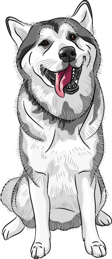Vector chó săn màu đen và trắng sẽ khiến bạn thích thú với các chi tiết nhỏ của nó, từ bộ lông đen trắng đến đôi tai to và sừng sườn. Xem và cảm nhận sự khéo léo của người vẽ và sự độc đáo của bức tranh.