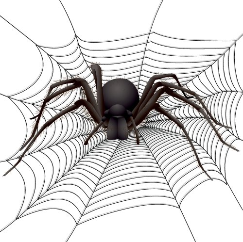 Vector con nhện lớn trên web.
