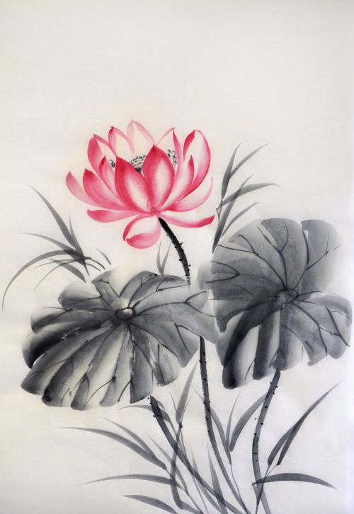 Ảnh chụp hoa Sen với hai bức tranh màu nước, nghệ thuật nguyên bản, phong cách châu Á