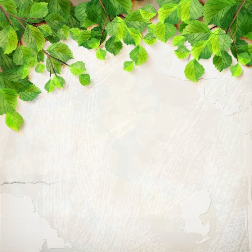 Vector nền với lá cây xanh, phông nền trang trí tường thạch cao màu trắng 