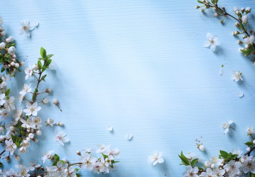 Ảnh nền nghệ thuật hoa mùa xuân | Thư viện stock vector đẹp miễn phí