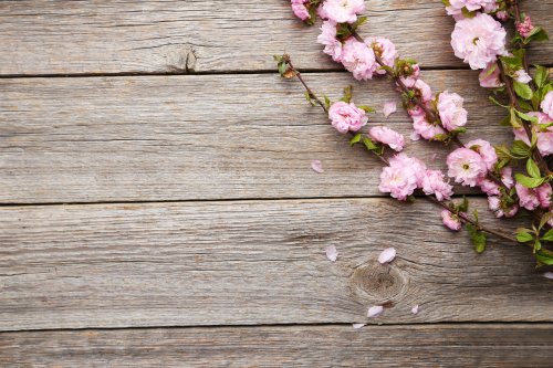 Khi nhìn vào nhánh hoa mùa xuân, tâm trạng của bạn sẽ được khoan khoái và thư giãn. Hình ảnh đầy tươi mới và sống động này sẽ đem đến không gian sống cho phòng khách hoặc phòng ngủ của bạn.