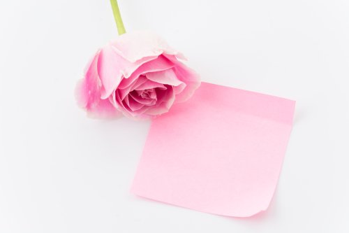 Ảnh giấy ghi chú màu hồng với hoa hồng trên nền trắng