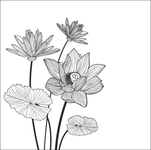 Vector hình hoa sen trừu tượng màu đen và trắng | Thư viện stock vector đẹp  miễn phí