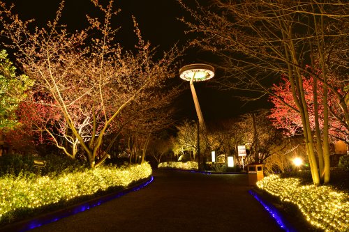 Ảnh mùa đông ở tỉnh Mie là một trong những công viên chiếu sáng lớn nhất của Nhật Bản