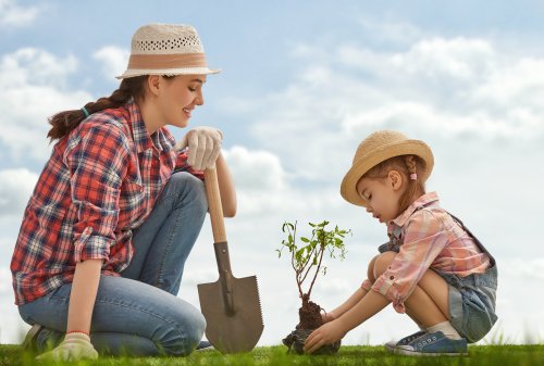 Ảnh Mẹ và cô con gái trồng cây 