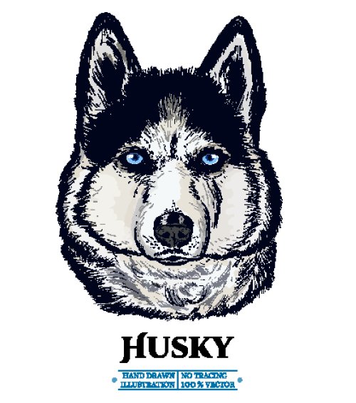 Vector chân dung chó Husky