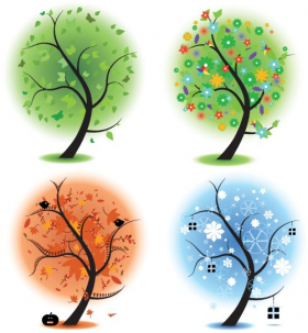 Vector về cây tượng trưng cho bốn mùa khác nhau trong năm. Xuân hạ thu đông