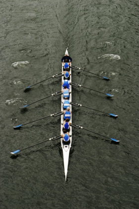 Ảnh chụp tám người chèo thuyền Coxswain trong các cuộc đua trên hồ Washington.