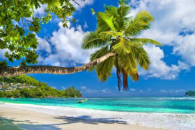 Ảnh chụp thiên đường nhiệt đới Seychelles, đảo Praslin