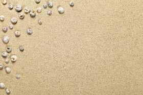 Ảnh chụp Bờ biển trên nền bãi cát với không gian sao chép