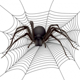 Vector con nhện lớn trên web.