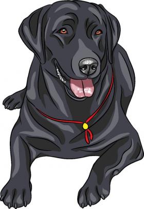Vector chú chó giống màu đen Labrador Retriever đang nằm