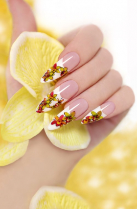 Ảnh chụp bàn tay phụ nữ với móng tay dài nắm hoa phong lan màu vàng