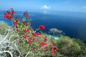 Ảnh chụp phong cảnh ở Tutuala idem điểm đông trên biển Timor ở Đông Timor
