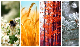 Ảnh chụp bốn mùa: Mùa xuân, mùa hè, mùa thu và mùa đông