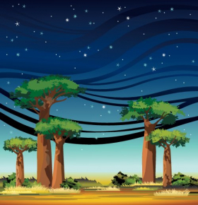 Vector phong cảnh ban đêm của châu Phi với cây baobab và bầu trời đầy sao.