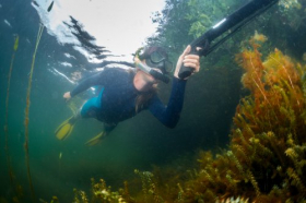 Ảnh chụp dưới nước của thợ săn bắn súng giáo trong hồ