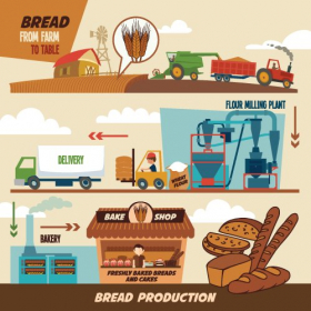 Vector giai đoạn sản xuất bánh mì