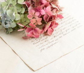 Ảnh bức thư tình cũ và hoa tú cầu