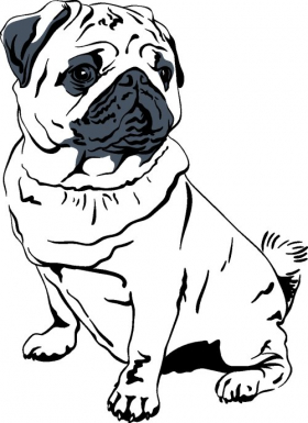 Vector con chó pug 