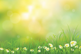 Vector nền mùa xuân thiên nhiên với cỏ xanh và hoa cúc La Mã