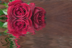Ảnh hoa hồng đỏ và trái tim trên bảng gỗ