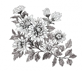 Vector vẽ tay hoa đơn sắc màu đen và trắng