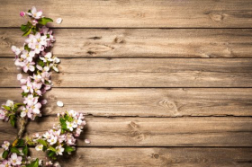 Ảnh nhánh hoa mùa xuân trên nền bằng gỗ