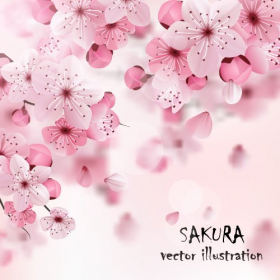 Vector nền hoa sakura