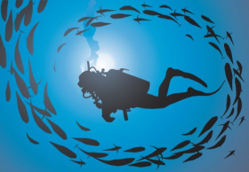 Vector - Thợ lặn được bao quanh với một đàn cá