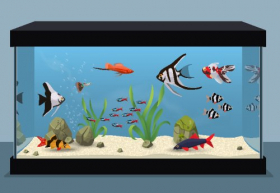 Vector hình ảnh bể cá nước ngọt chứa các loại cá khác nhau