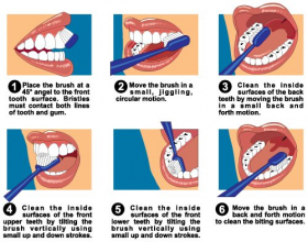 Vector hướng dẫn cách làm sạch các bề mặt răng miệng bằng kem đánh răng 