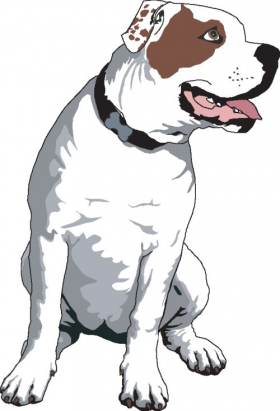 Hình ảnh vector con chó bull mỹ