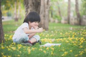 Ảnh Cậu bé nhỏ châu Á ngồi dưới gốc cây và vẽ trong máy tính xách tay tại công viên
