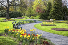 Hình ảnh của một khu vườn công cộng lớn ở trung tâm của Halifax, Nova Scotia, Canada. Full giường của hoa thuỷ tiên vàng và hoa tulip.