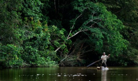 Hình ảnh con sông ở Trung Phi, JUNGLE GIỮA CAMEROON VÀ TRUNG ƯƠNG CỘNG HOÀ AFRICAN, ngày 01 tháng 11 2008: Người dân địa phương trong thuyền gỗ rỗng xuống sông.Sông Tăng, một con sông ở Trung Phi, là một nhánh của sông Congo. Tháng mười một